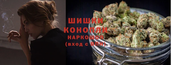 крисы Козловка