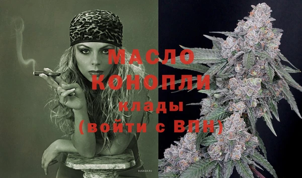 крисы Козловка