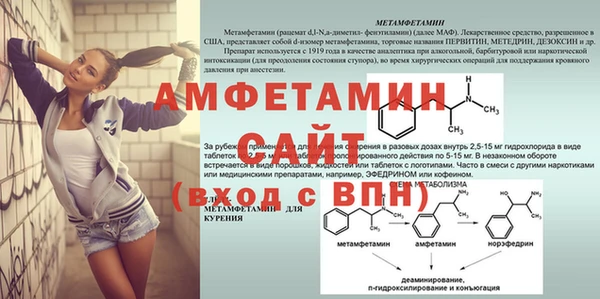 крисы Козловка