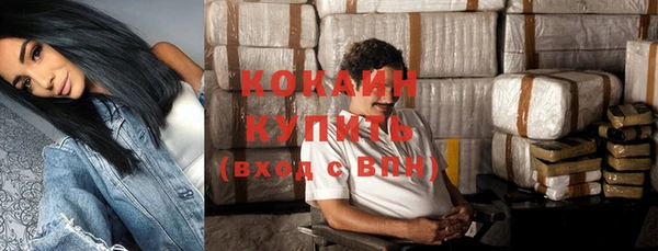 spice Кодинск