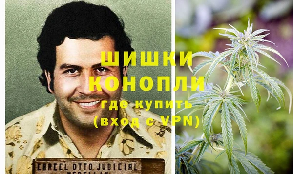 крисы Козловка