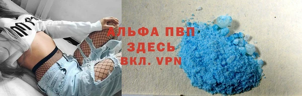 spice Кодинск